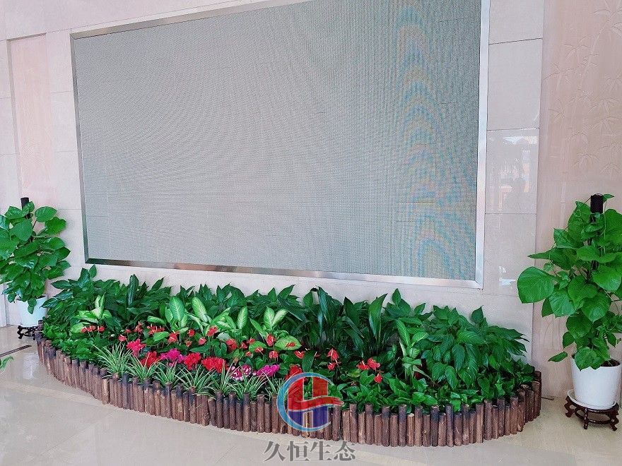 余姚企业大厅显示屏组合花卉绿植摆放