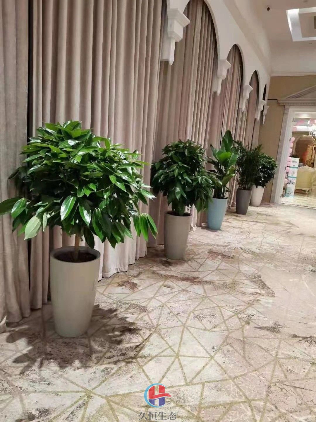 余姚酒店走廊花卉绿植摆放